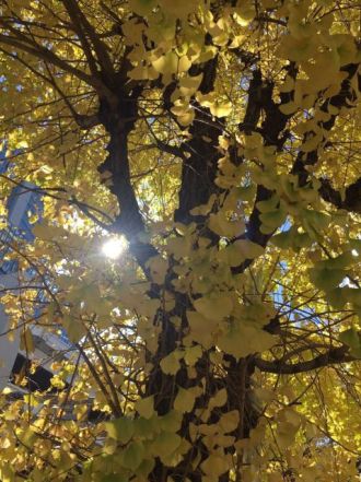 11月9日（金）今日の1コマ♪