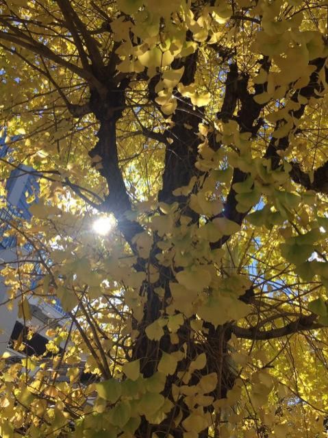 11月9日（金）今日の1コマ♪