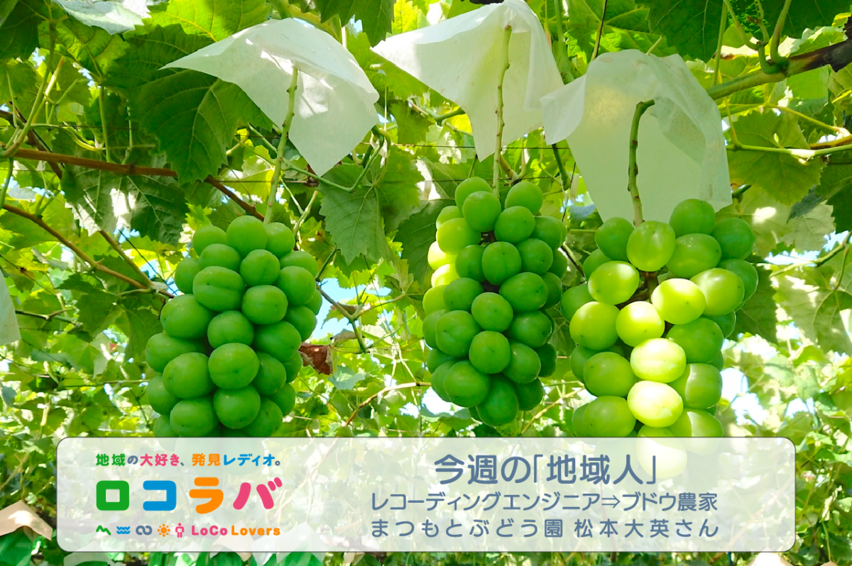今週の「地域人」 2022/10/2 ゲスト:松本大英さん（まつもとぶどう園）