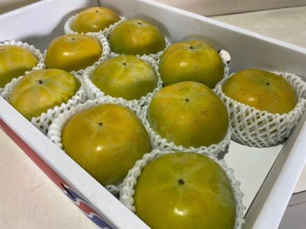 第26回「柿が赤くなると、医者が青くなる・・・」2022.10.4