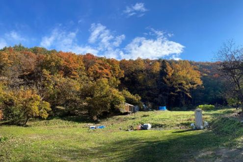 『里山再生project「若者たちの仕事を創り出す」』