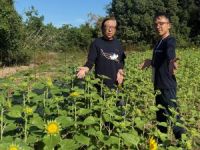 Vol.134 丸亀市・本島　瀬戸内国際芸術祭・秋会期開催！