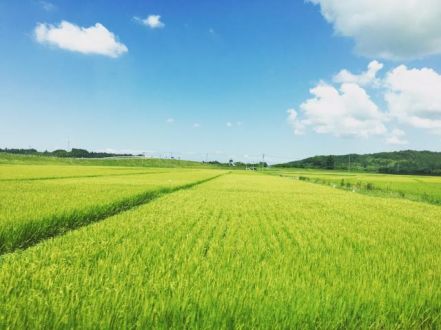 3月6日今日のテーマは、、、