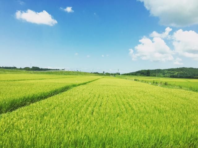 3月6日今日のテーマは、、、