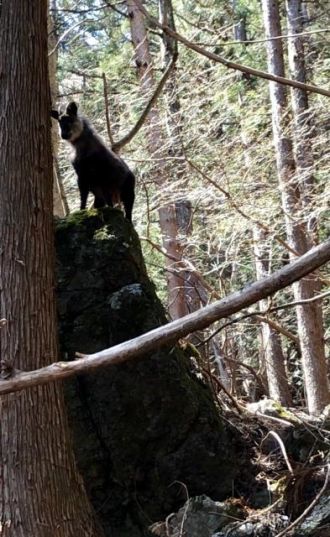 6月11日（火）今日の1コマ♪