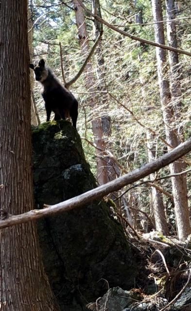 6月11日（火）今日の1コマ♪