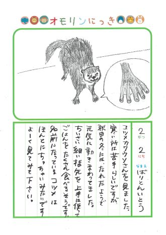 2025年2月2日「コツメカワウソさんをみできましたよ」