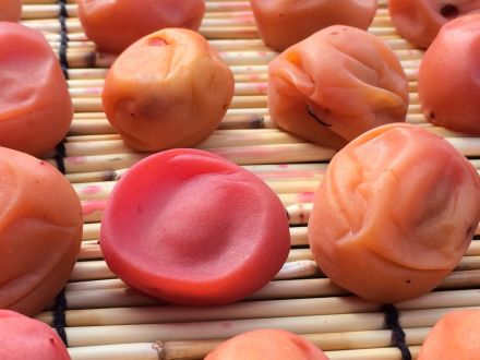 2月10日（火）今日の1コマ