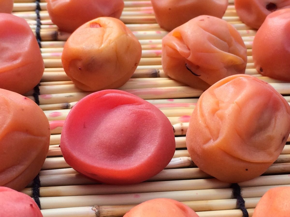 2月10日（火）今日の1コマ