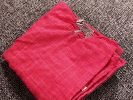 2015年4月6日（月）今日の1コマ