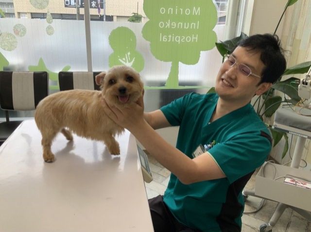 もし迷い犬やケガした猫を保護したら・・・