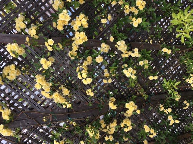 假野剛彦　ギャラリー 08