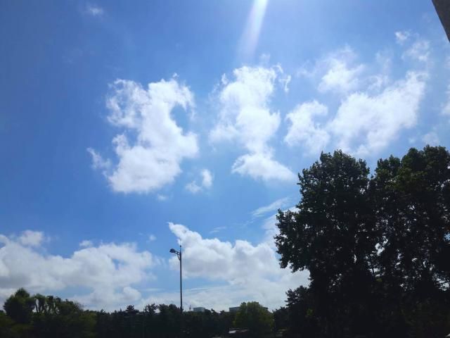 6月19日(火）  今日のメニューは？