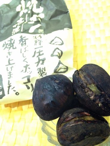 11月21日（金）今日の1コマ