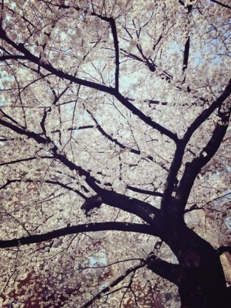 3月27日（火）今日の1コマ　