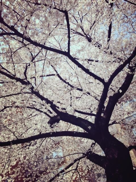 3月27日（火）今日の1コマ　