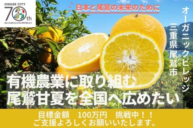 「三重県尾鷲の宝を未来へ！甘夏70年の歴史を繋ぐ移住者が挑む農業再生プロジェクト！」