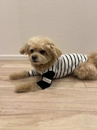 藤井悠のいただき！ナル！