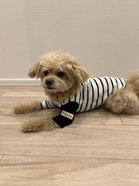 藤井悠のいただき！ナル！