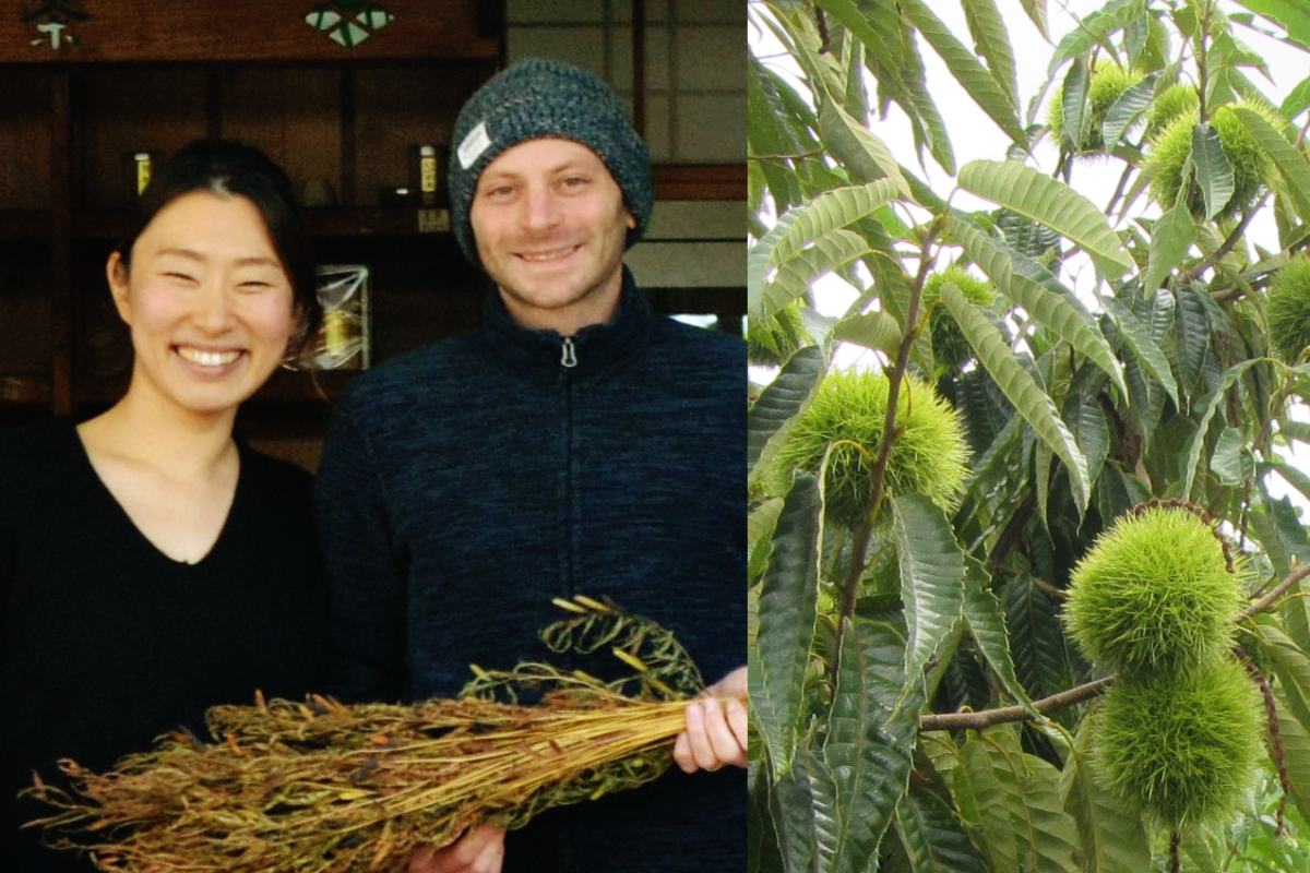 ハートフルデイズ vol.15