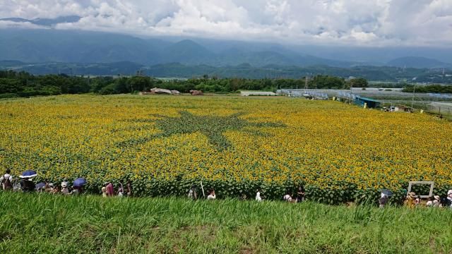 今日のテーマは『この夏、贅沢した事！』