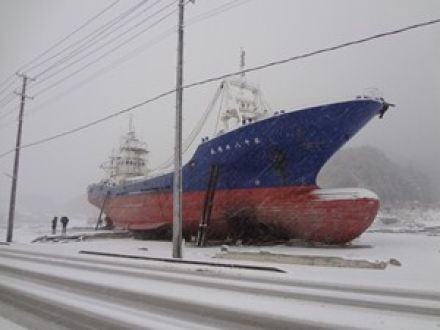 震災から1年～被災地、再生への一歩～