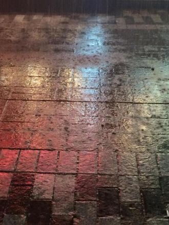 6月5日（火）今日の1コマ　