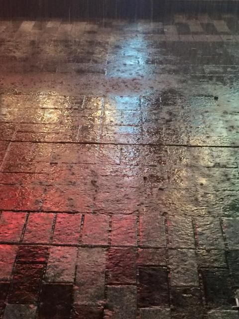 6月5日（火）今日の1コマ　