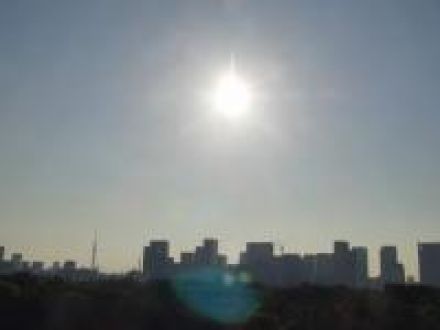 ５月２２日（木）