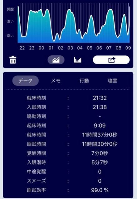 市川さんの眠りのグラフ