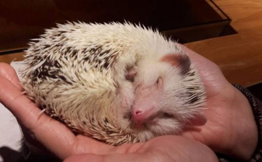 12月25日（月）  今日のメニューは？