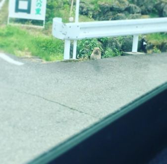 6月5日（月）今日の1コマ　