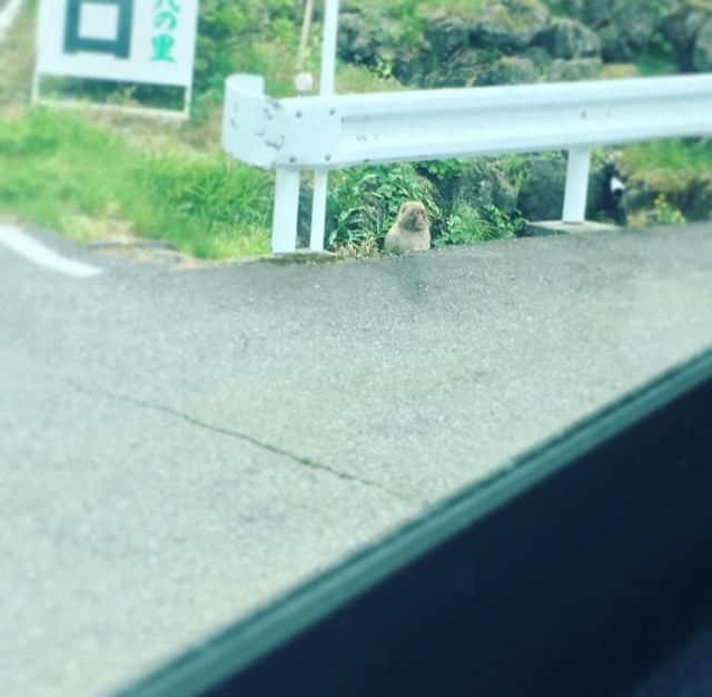 6月5日（月）今日の1コマ　