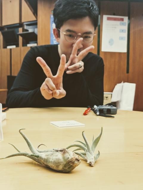 ものぐささんも諦めないで！インドアガーデニングのススメ