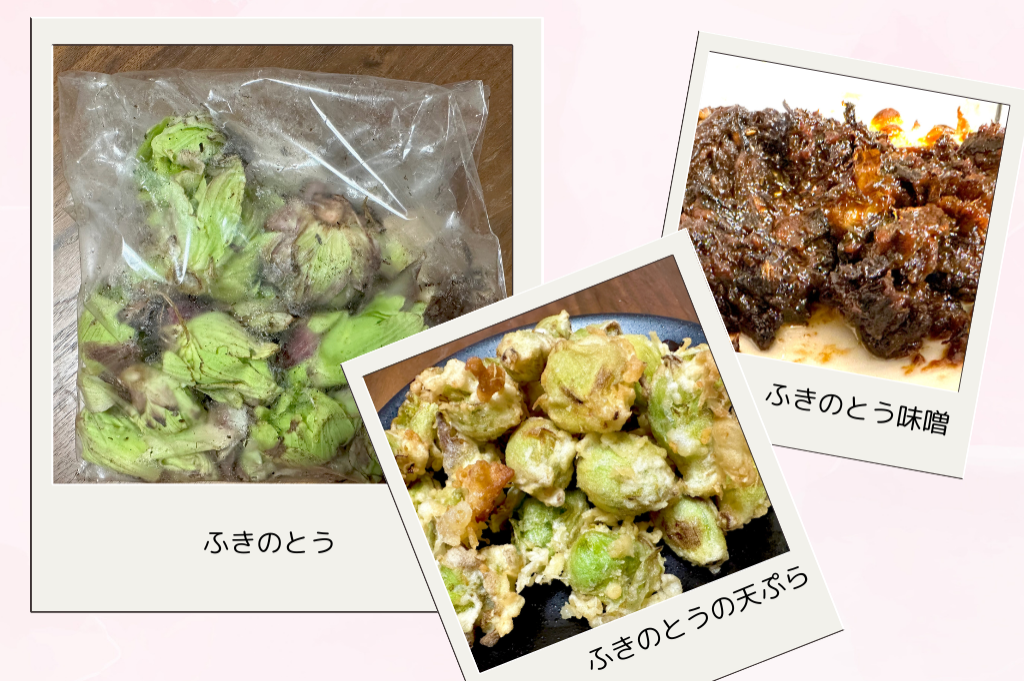 「春を告げるご当地食材」特集！ 今週は岩手県一関市の「雪ん子ふきのとう」