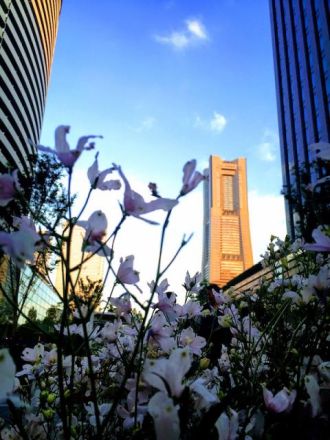 5月31日（水）今日の一コマ