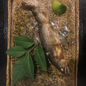 7月9日（木）今日の一コマ