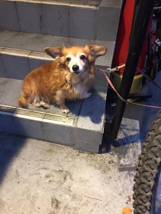 11月14日（月）担当：テット・ワダ