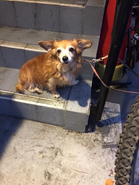 11月14日（月）担当：テット・ワダ