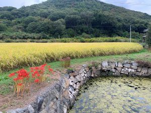 Vol.31 牛島　全てが資源の島を次の世代へ