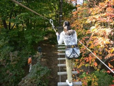 草津フォレストステージで、森の空中トレッキング