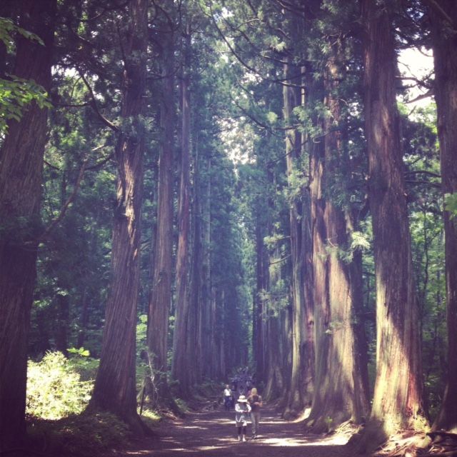 2月24日（火）今日の1コマ