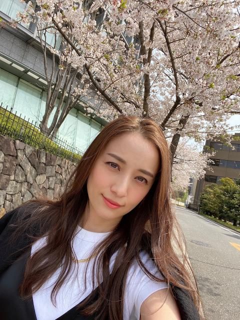 藤井悠のいただき！SAKURA！！！