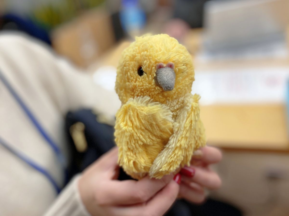 12月8日（木）のAuDee♪♪