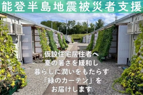 「能登半島地震から豪雨災害と地震が続く仮設住宅に緑のカーテンで日常を取り戻す」