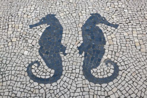 2015年2月23日（月）今日の1コマ