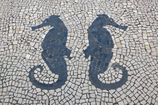 2015年2月23日（月）今日の1コマ