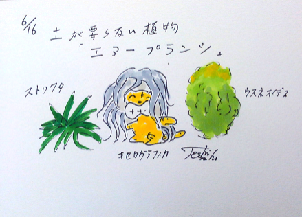 6月16日（火）のデリフラは・・・