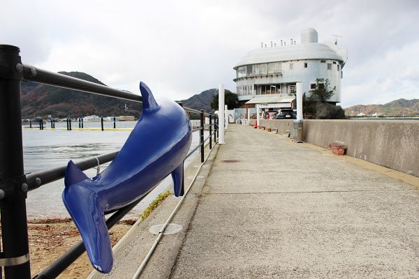 Vol40 さぬき市・年末年始もイルカと遊ぶプログラムをご紹介！（221228OA）