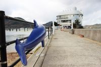 Vol40 さぬき市・年末年始もイルカと遊ぶプログラムをご紹介！（221228OA）